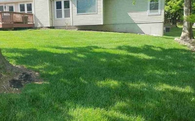 Photo of Hunter B.'s yard after getting lawn care in Memphis, TN