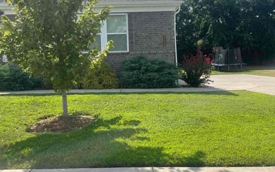 Photo of Lisa B.'s yard after getting lawn care in Mason, OH