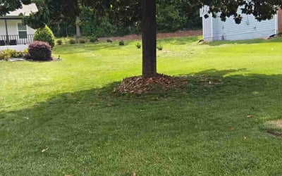 Photo of Art R.'s yard after getting lawn care in Decatur, GA