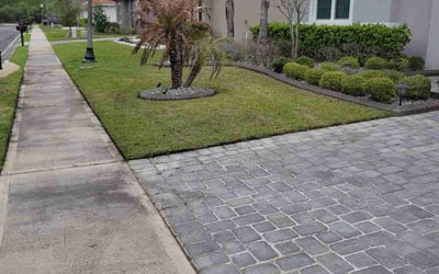 Photo of Jason K.'s yard after getting lawn care in Dripping Springs, TX