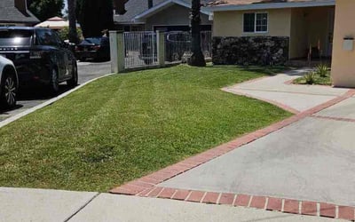 Photo of Allison W.'s yard after getting lawn care in Northridge, CA