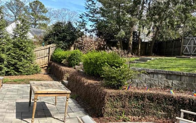 Photo of Tina L.'s yard after getting lawn care in Atlanta, GA