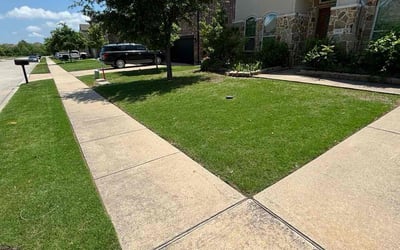 Photo of Andrew M.'s yard after getting lawn care in Bellingham, MA
