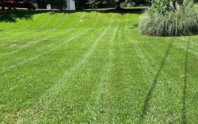 Photo of Janet P.'s yard after getting lawn care in Beaver, PA