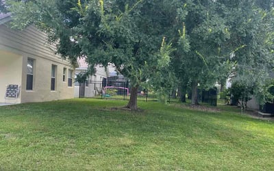 Photo of Rebecca G.'s yard after getting lawn care in Orlando, FL