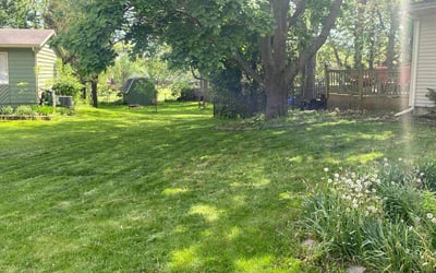 Photo of Hema M.'s yard after getting lawn care in Urbana, IL