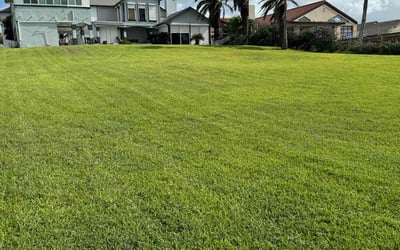 Photo of James R.'s yard after getting lawn care in Portland, TX