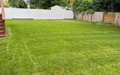 Photo of Anne M.'s yard after getting lawn care in North Dartmouth, MA