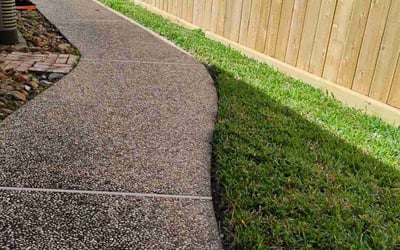 Photo of Eunice K.'s yard after getting lawn care in Tucson, AZ