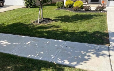 Photo of Alma M.'s yard after getting lawn care in Canal Winchester, OH