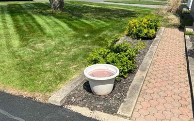 Photo of Patti T.'s yard after getting lawn care in Wethersfield, CT