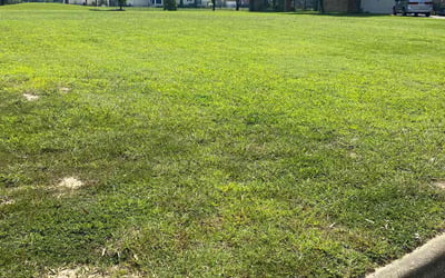 Photo of Sam F.'s yard after getting lawn care in Middleburg, FL