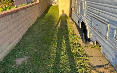 Photo of Stephen F.'s yard after getting lawn care in Bellflower, CA