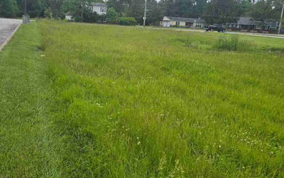 Photo of Carolyna F.'s yard after getting lawn care in Grandville, MI