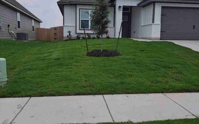 Photo of Athena S.'s yard after getting lawn care in Killeen, TX