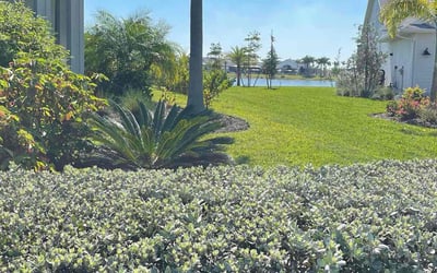 Photo of Nannette F.'s yard after getting lawn care in Punta Gorda, FL