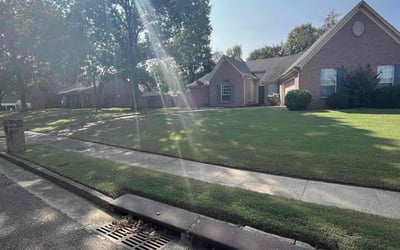 Photo of Jacqueline P.'s yard after getting lawn care in Memphis, TN