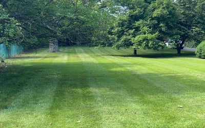 Photo of Lauranne B.'s yard after getting lawn care in Wayne, NJ