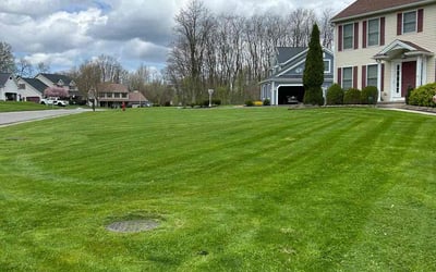 Photo of Jackie K.'s yard after getting lawn care in Lockport, NY