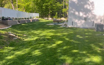 Photo of Ana S.'s yard after getting lawn care in Myrtle Beach, SC