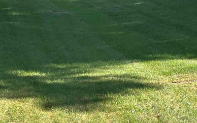 Photo of Heather B.'s yard after getting lawn care in Emmaus, PA