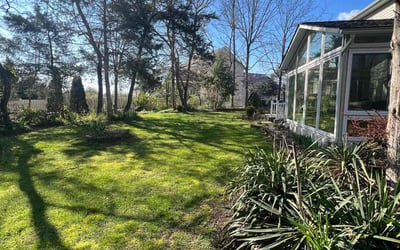 Photo of Katie M.'s yard after getting lawn care in Fredericksburg, VA