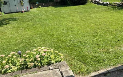 Photo of Jane W.'s yard after getting lawn care in Johnston, RI