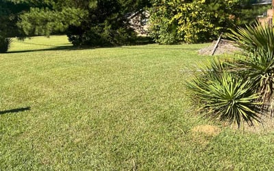 Photo of Dahada W.'s yard after getting lawn care in Huntersville, NC