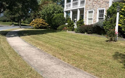 Photo of Gerald S.'s yard after getting lawn care in Hummelstown, PA