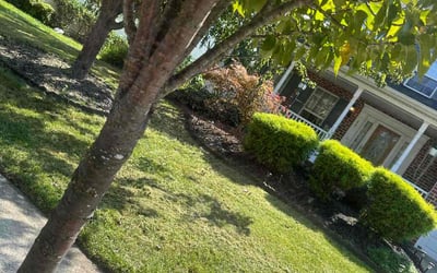 Photo of Thomas B.'s yard after getting lawn care in Arbutus, MD