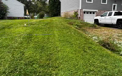 Photo of Theodore H.'s yard after getting lawn care in Warren, PA