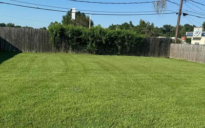 Photo of Wanda S.'s yard after getting lawn care in Alexandria, LA