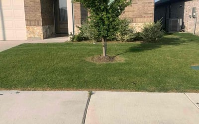 Photo of Austin S.'s yard after getting lawn care in Granbury, TX
