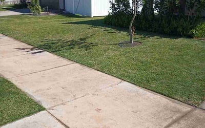 Photo of James D.'s yard after getting lawn care in Honolulu, HI