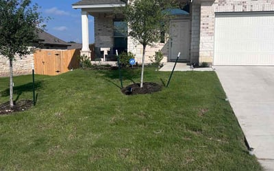 Photo of Phyllis S.'s yard after getting lawn care in Killeen, TX