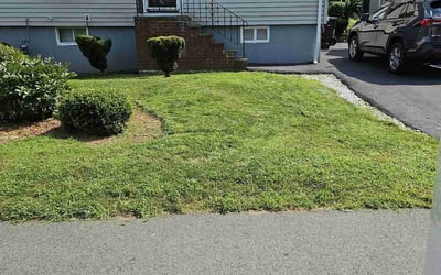 Photo of Melissa H.'s yard after getting lawn care in Dedham, MA