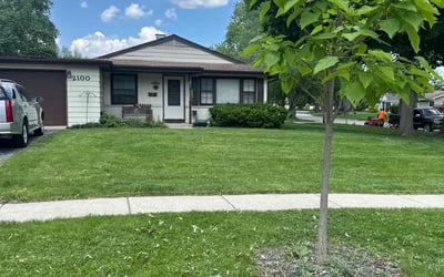 Photo of Lizsa J.'s yard after getting lawn care in Rolling Meadows, IL