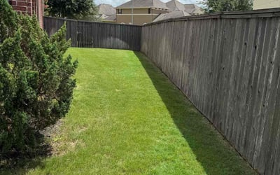 Photo of Laura K.'s yard after getting lawn care in Memphis, TN