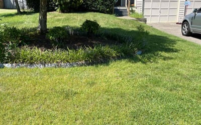 Photo of Austin B.'s yard after getting lawn care in Yucaipa, CA