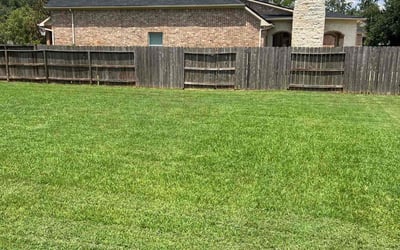 Photo of Julia -.'s yard after getting lawn care in Calabasas, CA