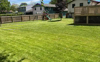 Photo of Heather G.'s yard after getting lawn care in Rockville, MD