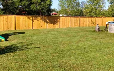 Photo of Tony S.'s yard after getting lawn care in Hazel Green, AL