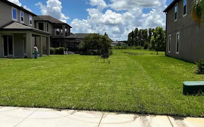 Photo of Scott N.'s yard after getting lawn care in Hempstead, NY