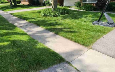 Photo of Kathy B.'s yard after getting lawn care in Henrico, VA