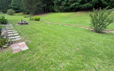 Photo of Vernee R.'s yard after getting lawn care in Alhambra, CA