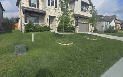 Photo of David P.'s yard after getting lawn care in Bay Shore, NY