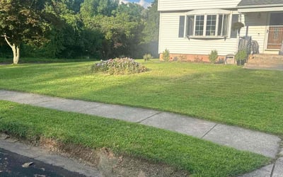 Photo of Sharon H.'s yard after getting lawn care in Middletown, CT