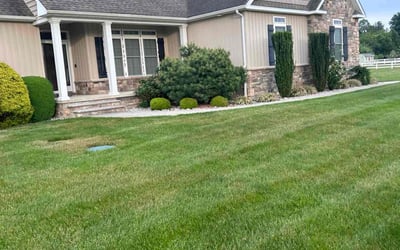 Photo of Bill N.'s yard after getting lawn care in Rehoboth Beach, DE
