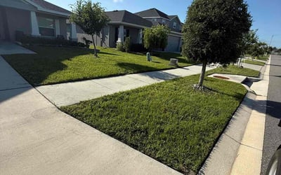 Photo of Timothy W.'s yard after getting lawn care in Festus, MO