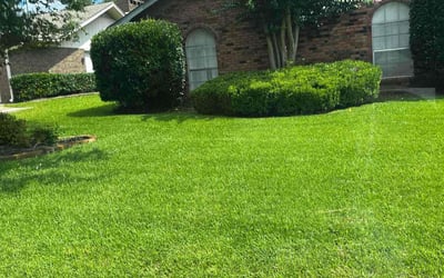 Photo of Dylan M.'s yard after getting lawn care in Gulfport, MS